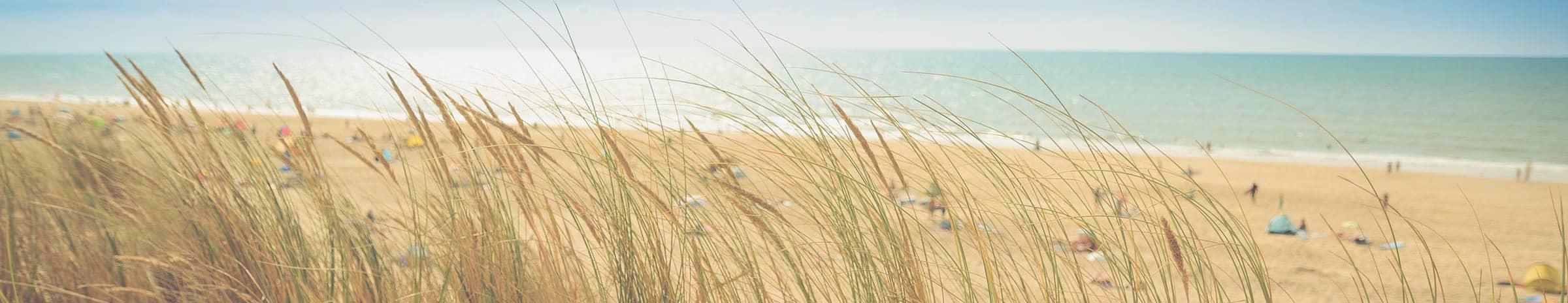 Sunny day at the beach