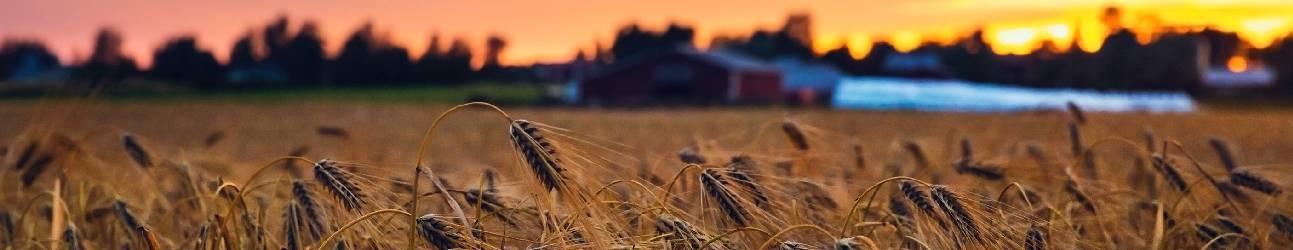 Become a Travel Nurse in Kansas